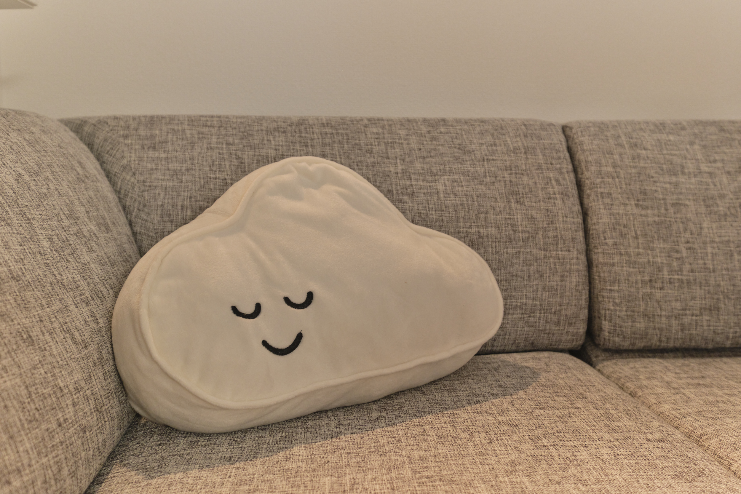 Gaia_BOSCO_クッション