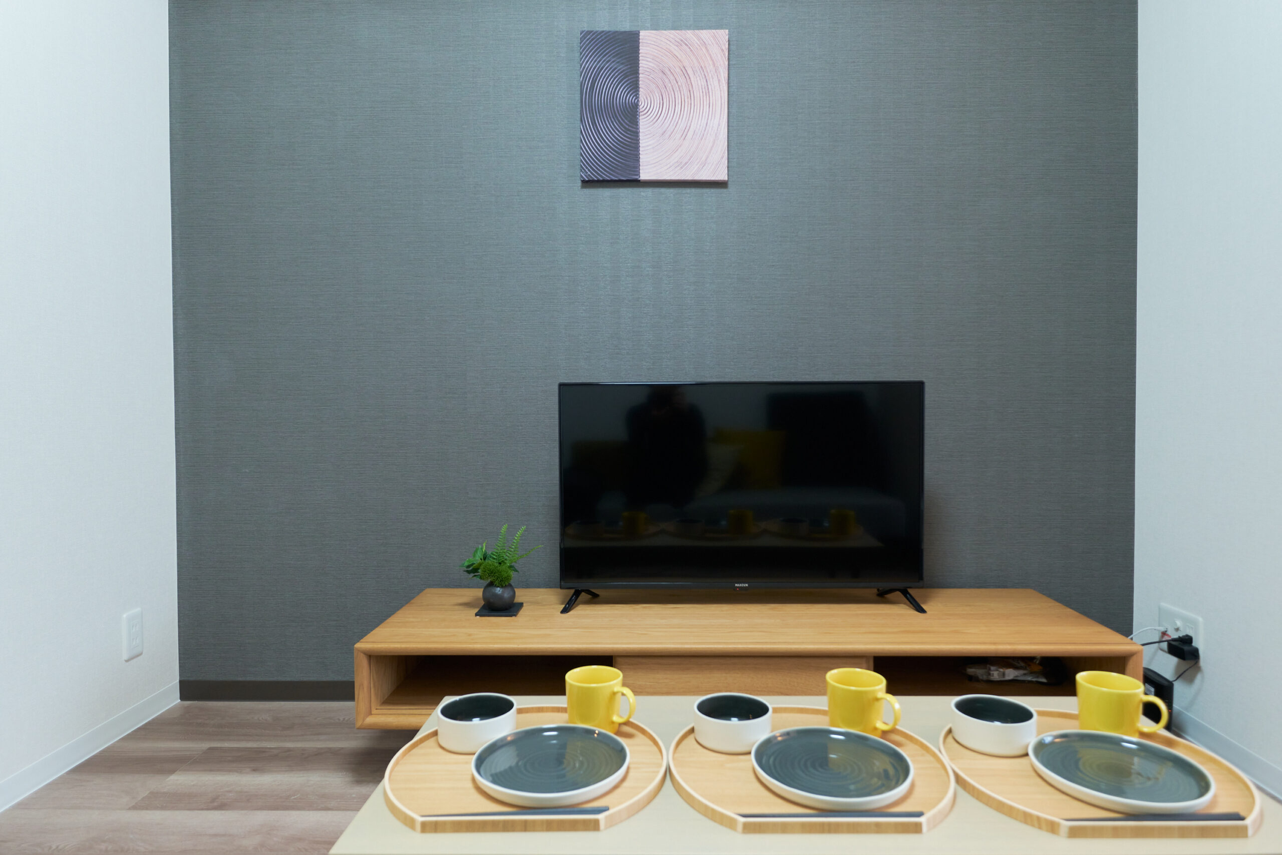 AQUA RESIDENCE 三軒茶屋_テレビ
