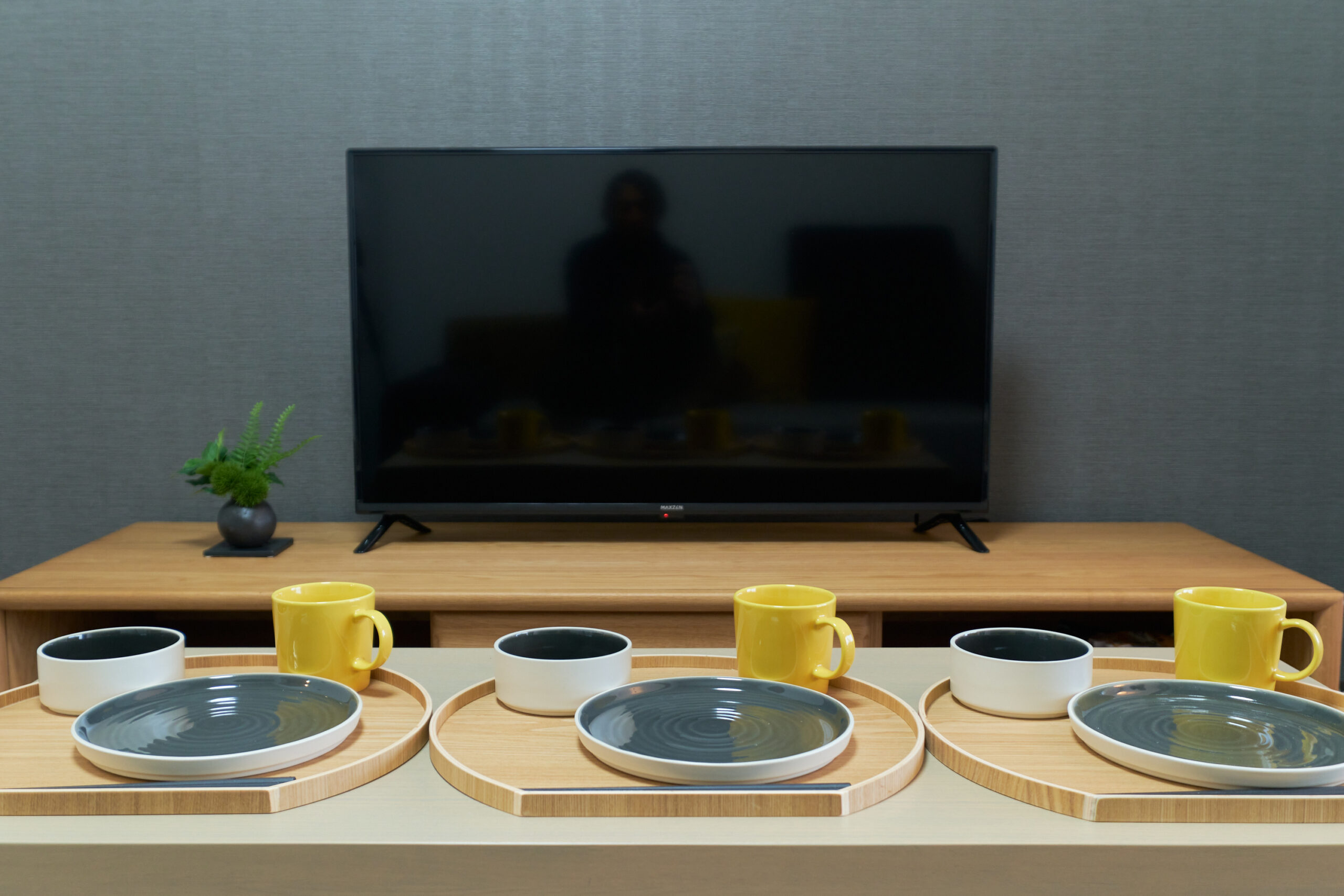 AQUA RESIDENCE 三軒茶屋_テレビ