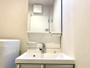 エブリネット新宿_洗面所
