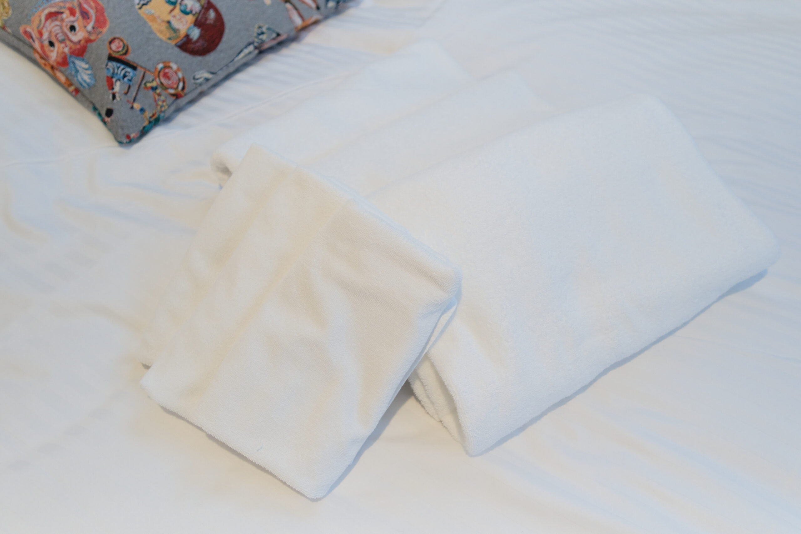 グランメゾン夏目坂＿タオル類