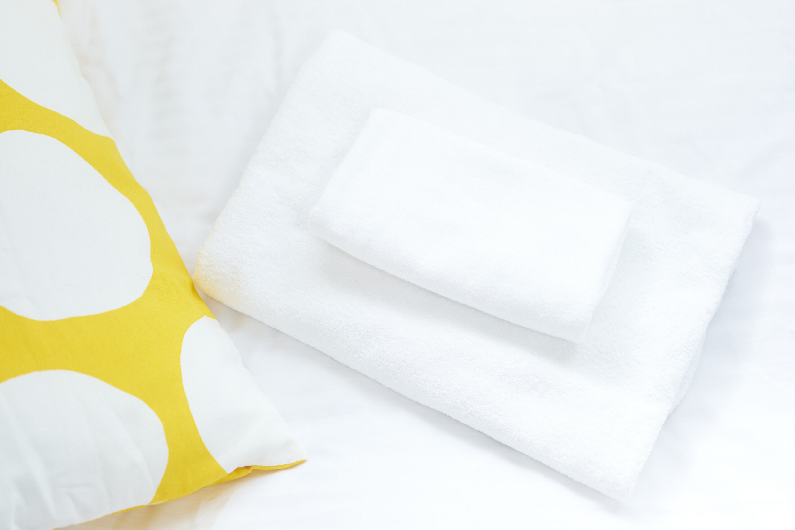 Zenith Shinjuku 檜 B棟_ベットルーム